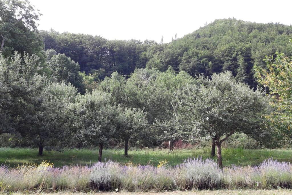 Gite "Entre Champsaur Et Valgodemard" Saint-Jacques-en-Valgodemard Luaran gambar